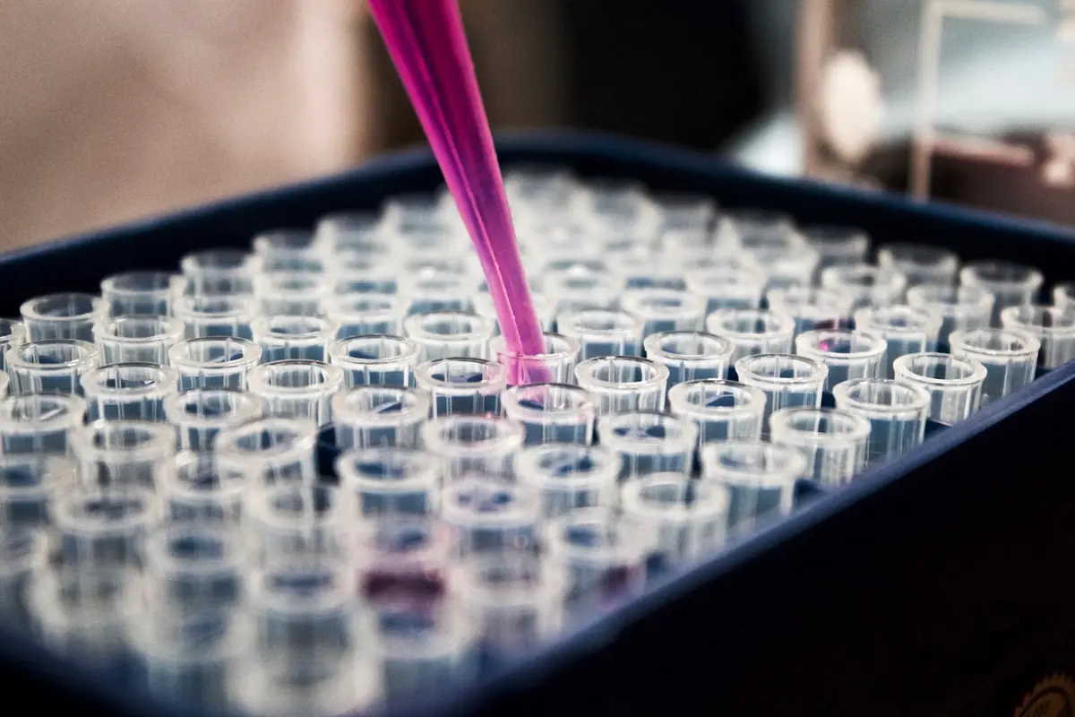 Laboratory pipette dispensing samples into rows of test wells